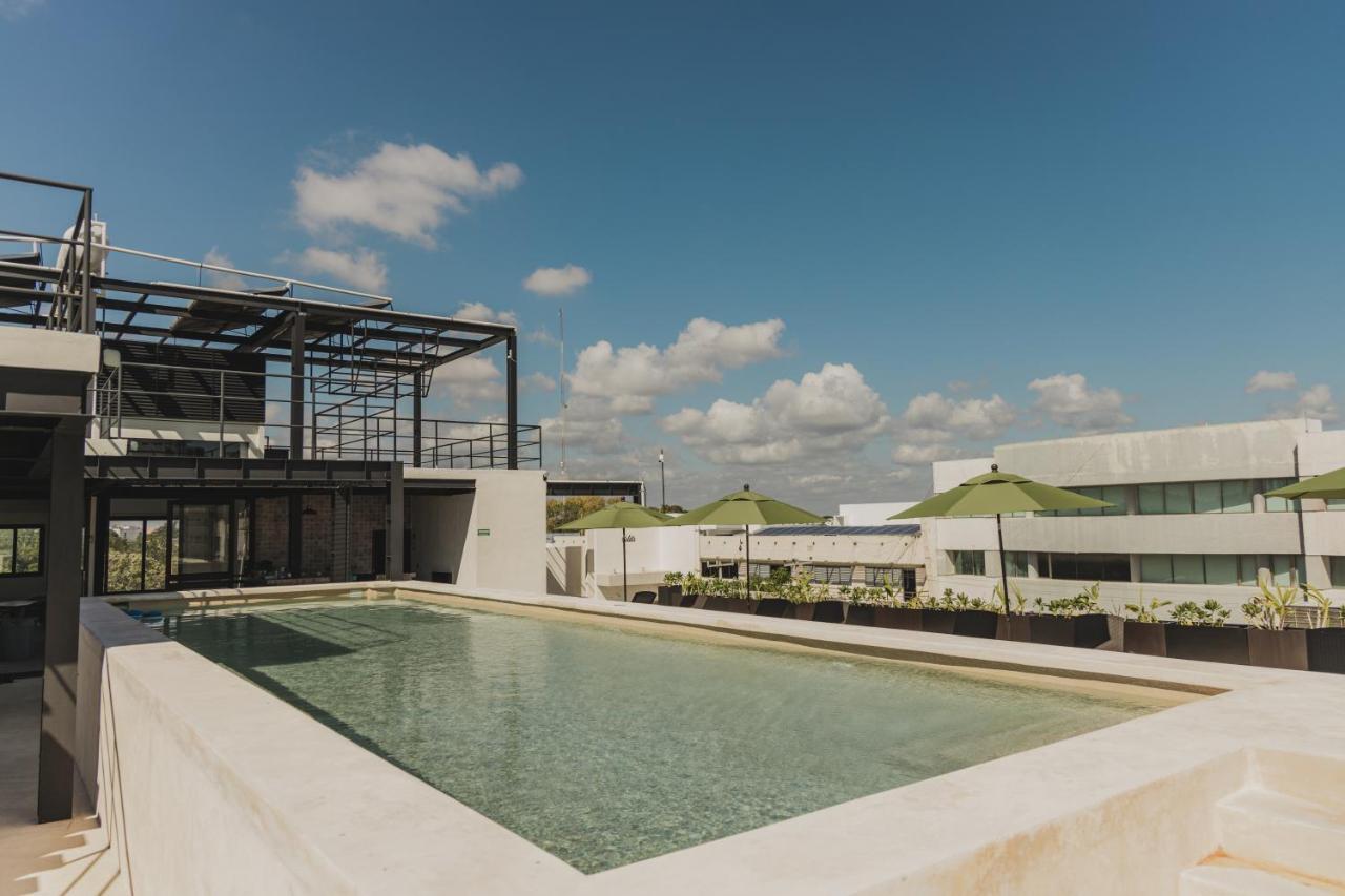Caleta Hostel Rooftop & Pool Cancun Dış mekan fotoğraf