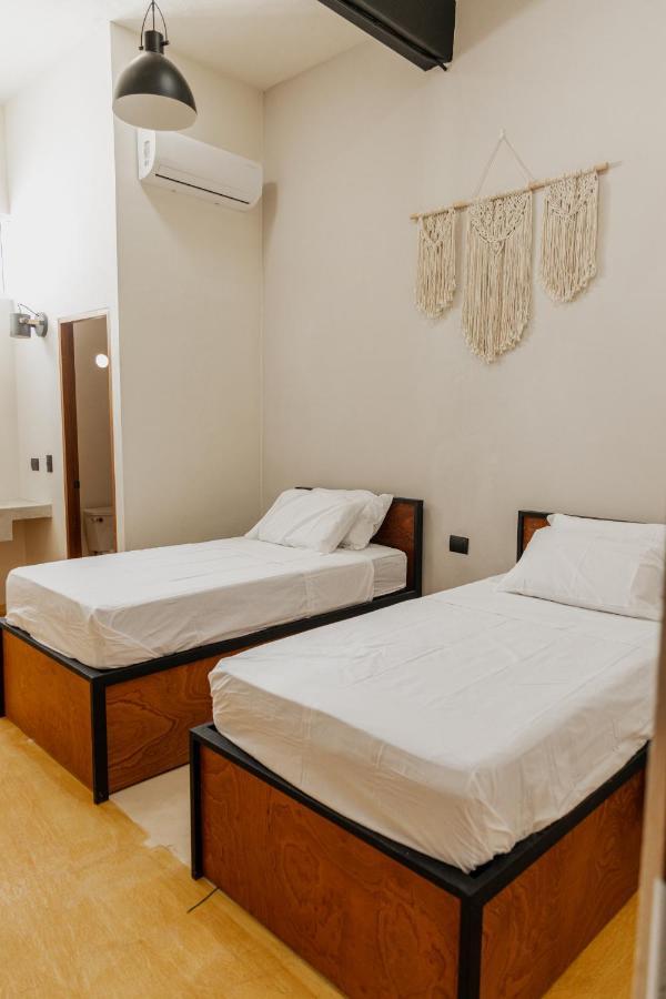 Caleta Hostel Rooftop & Pool Cancun Dış mekan fotoğraf